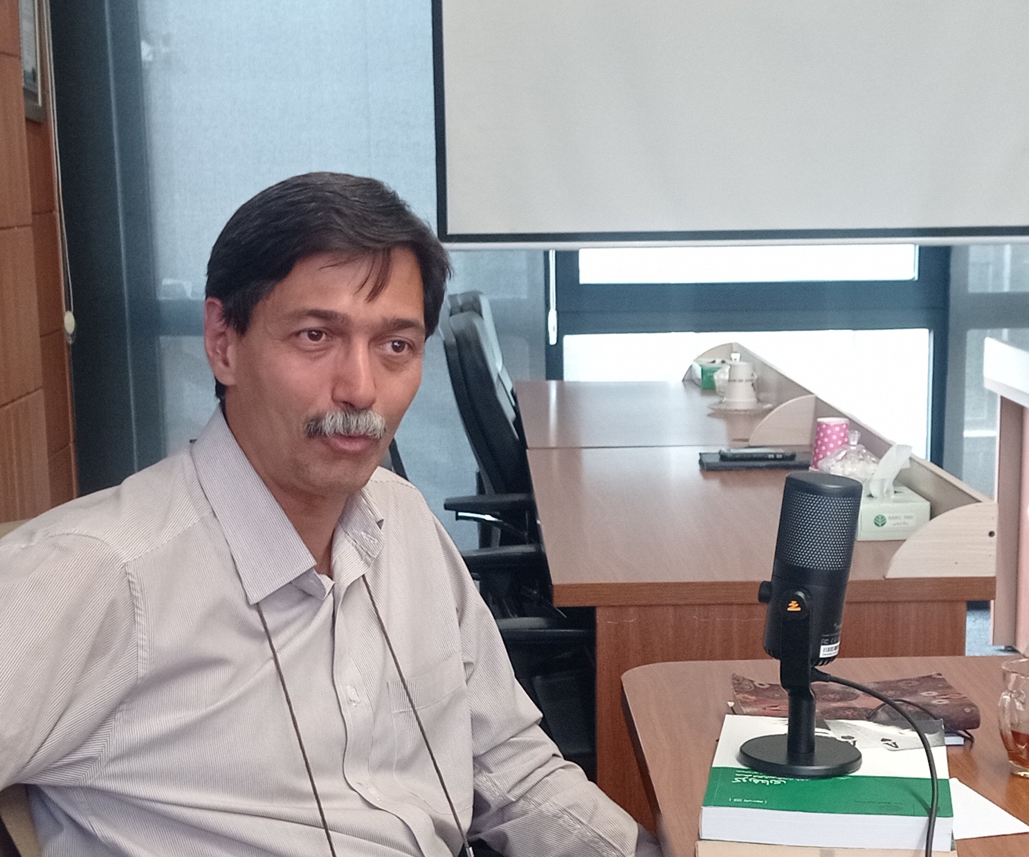 پورنگ پورحسینی